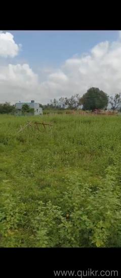 5428 Sq. ft Plot for Sale in Chinnalapatti, Dindigul(3)