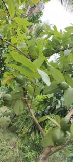 6348 Sq. ft Land for Sale in Yelahanka, Bangalore(1)