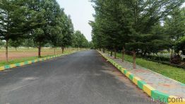 1800 Sq. ft Plot for Sale in Tagarapuvalasa, Vizag(4)