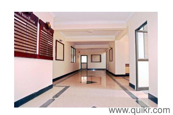 2 BHK rent Apartment in Kaloor, Kochi