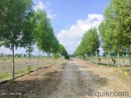 10100 Sq. ft Land for Sale in Chengalpattu, Chennai(4)