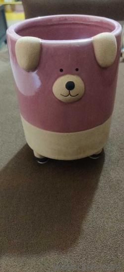 Ceramic planters . Rehoming it as lack space .(1)