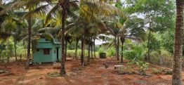 13,939.2 Sq. ft Plot for Sale in Karungal, Kanyakumari(2)