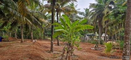 13,939.2 Sq. ft Plot for Sale in Karungal, Kanyakumari