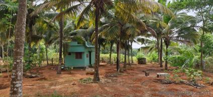 13,939.2 Sq. ft Plot for Sale in Karungal, Kanyakumari(1)