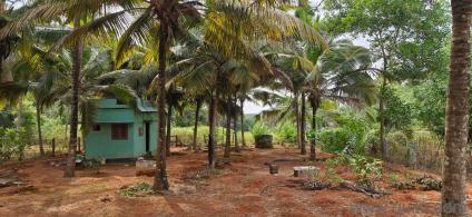13939.2 Sq. ft Plot for Sale in Karungal, Kanyakumari