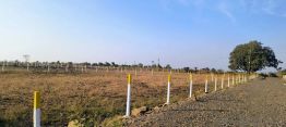 5000 Sq. ft Plot for Sale in Tilwara, Jabalpur(3)