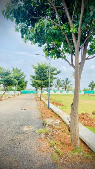 900 Sq. ft Plot for Sale in Devanahalli, Bangalore(2)