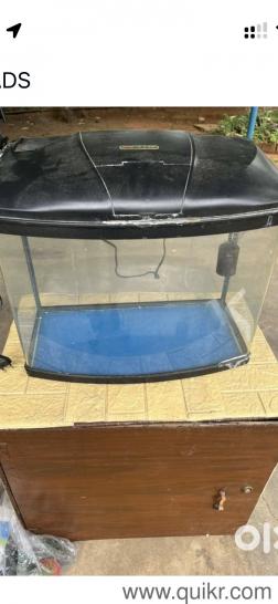 Big aquarium with box to keep it(1)