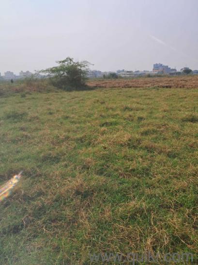 2006 Sq. ft Plot for Sale in Payakapuram, Vijayawada
