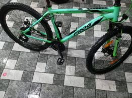 21 Geared Frog Raptor Bicycle 