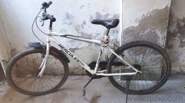 Firefox hercules flare 