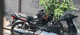 Used Honda CB Shine 2009 Model Images