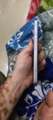only 3 month old(3)