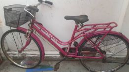 ladies cycle 