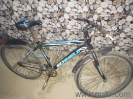 the old bicycle