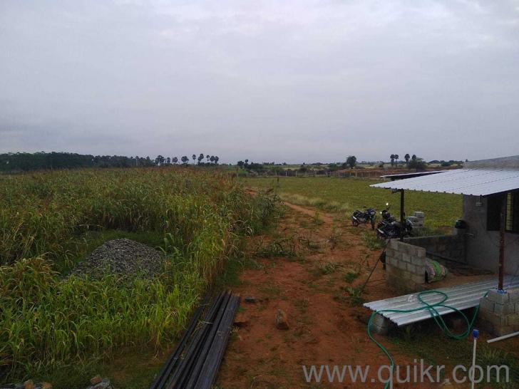 179757 Sq. ft Land for Sale in Madurai Main, Madurai Madurai Main