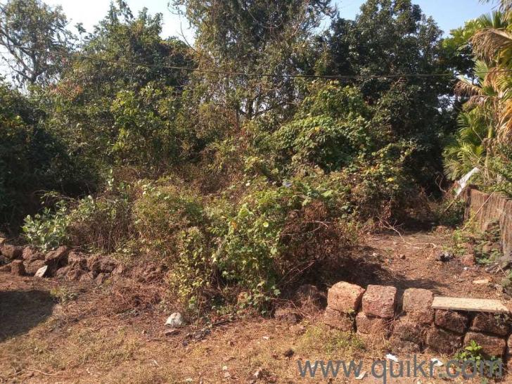 250 square metres plot for sale in Dhargal Goa Dhargal, Goa Quikr