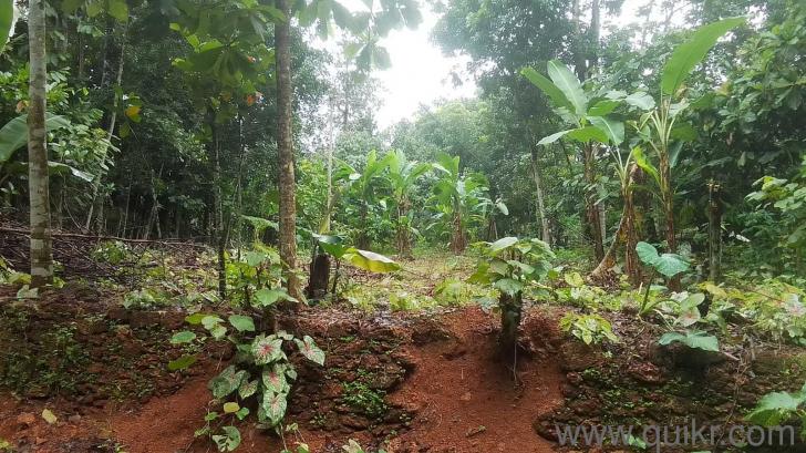 6969.6 Sq. ft Land for Sale in Kalathoor, Kottayam(1)