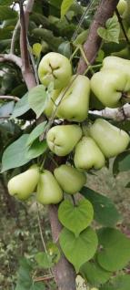 6348 Sq. ft Land for Sale in Yelahanka, Bangalore