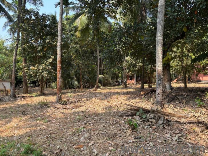 34322 Sq. ft Plot for Sale in Chittur, Palakkad(1)