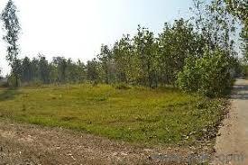 43560 Sq. ft Plot for Sale in West Delhi, Delhi
