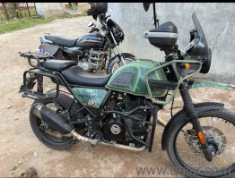 Royal Enfield Himalayan Pine Green and Dune Brown - 2022(4)