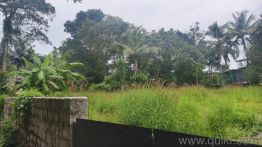 9000 Sq. ft Plot for Sale in Puthenkurish, Kochi(2)