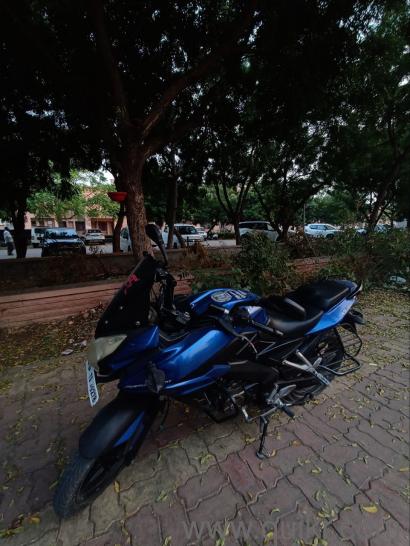 Bajaj Pulsar AS150 - 2015(2)