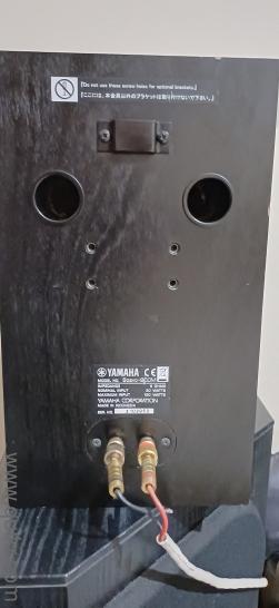 Yamaha Bookshelf speakers Soavo-900M(1)