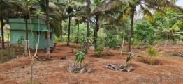 13939.2 Sq. ft Plot for Sale in Enayam Puthenthurai, Kanyakumari(4)