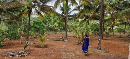 13939.2 Sq. ft Plot for Sale in Enayam Puthenthurai, Kanyakumari(1)