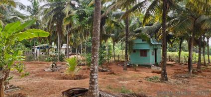 13939.2 Sq. ft Plot for Sale in Enayam Puthenthurai, Kanyakumari
