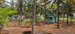 13939.2 Sq. ft Plot for Sale in Karungal, Kanyakumari(2)