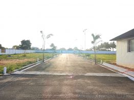 435 Sq. ft Plot for Sale in Pappampatti, Coimbatore(4)
