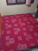 King Size Cot and Queen Size Mattress(4)