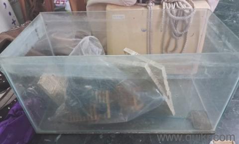 Fish tanks for sale 1.5 feet length and 1 feet width, and additionally small beta fish tank will be given