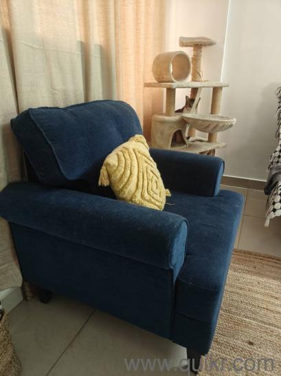 2 year old Wakefit Dreamer Plus single seater sofa like new(2)