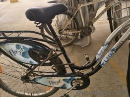 BSA Lady Bird Hazel 29