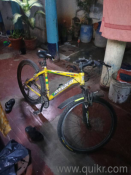 this two cycle for sell