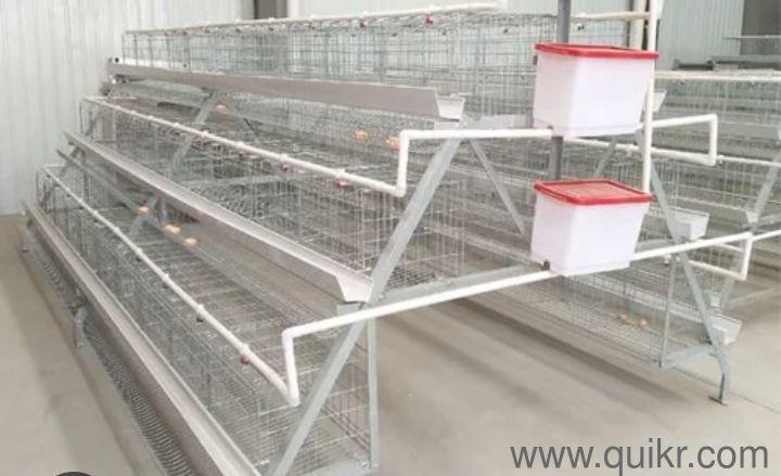 Layer Chicken cage (Excellent Condition)(1)