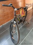Avon Bicycle 