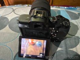 Sony A7ii(4)
