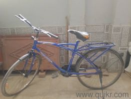 1 year old Cycle 