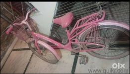 pink cycle
