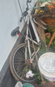 ROCKRIDER CYCLE  