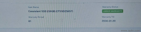 Consistent SSD 256 GB(2)
