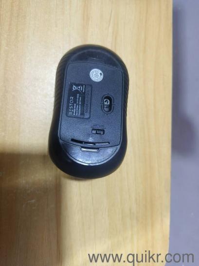 Fresh Mouse 40 Nos.(2)