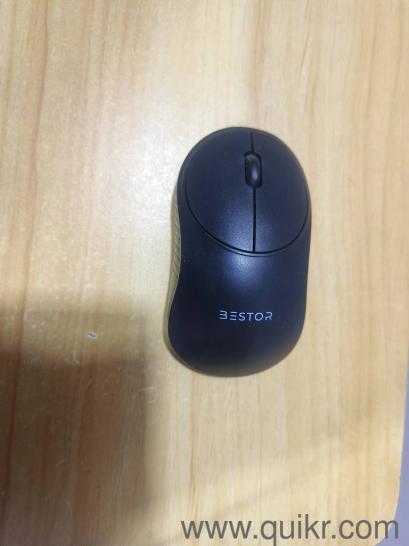Fresh Mouse 40 Nos.