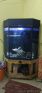 Fish aquarium tank and canister filter 